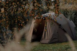 algonquin park rescue