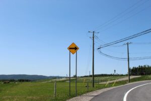 newmarket crash