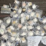 Over $100K in Illegal Drugs Seized During Welland Police Bust